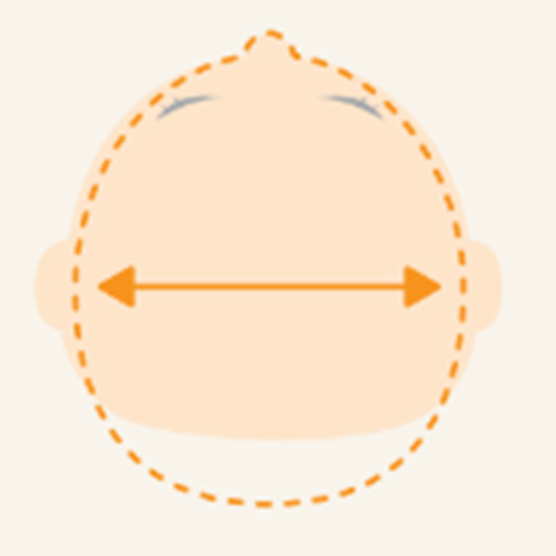 変形性短頭のイラスト